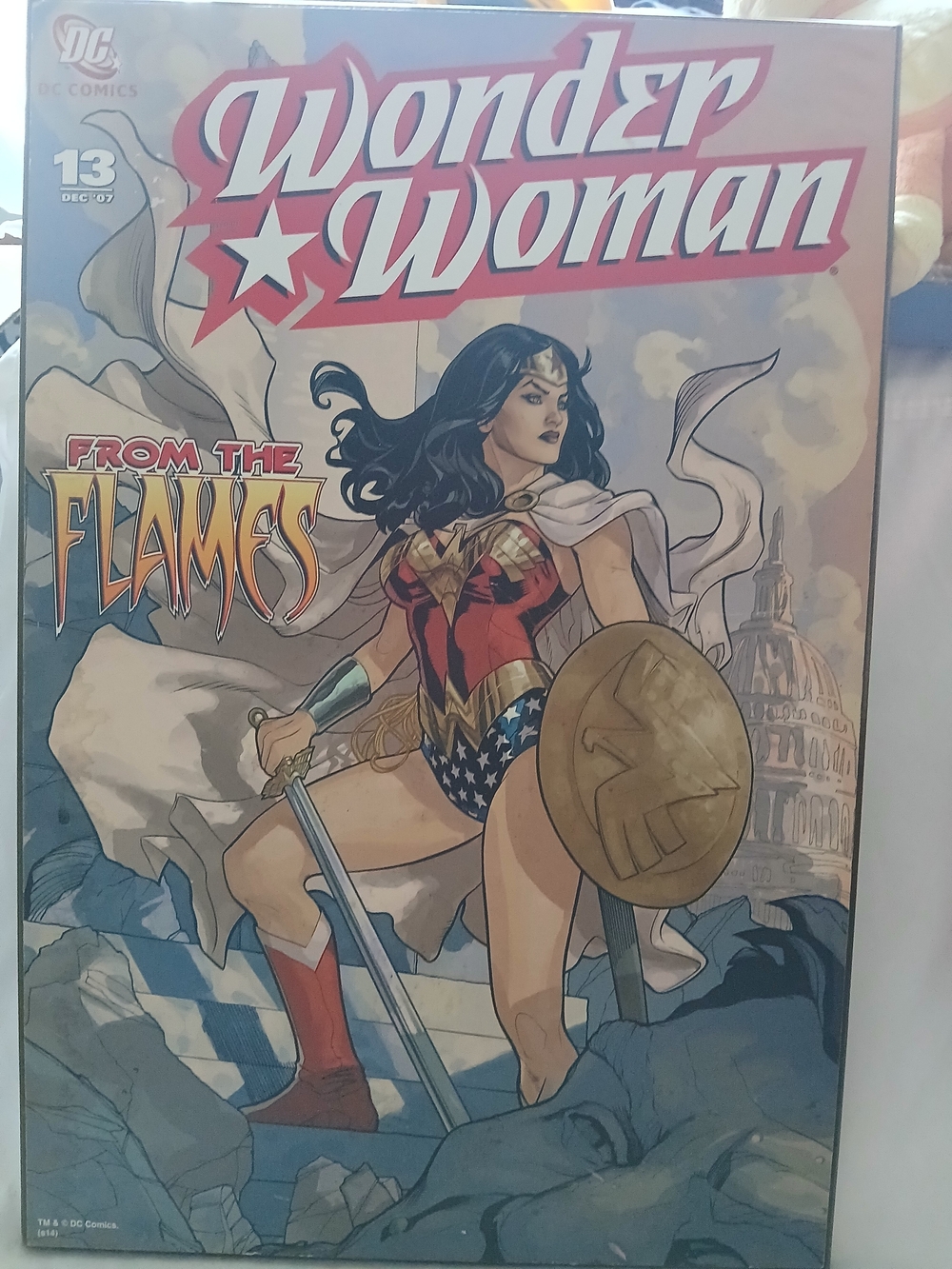DC Comics Wonder Woman “From the Flames” MDF Wall Sign 13x19"